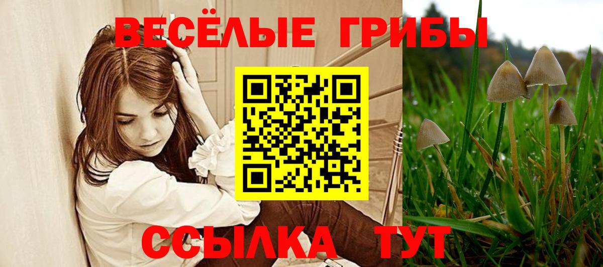 Ступино  где найти   Галлюциногенные грибы Cubensis  Вход с VPN  Галлюциногенные грибы Psilocybe 