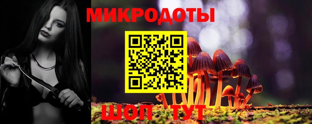 Галлюциногенные грибы Psilocybine cubensis Ступино